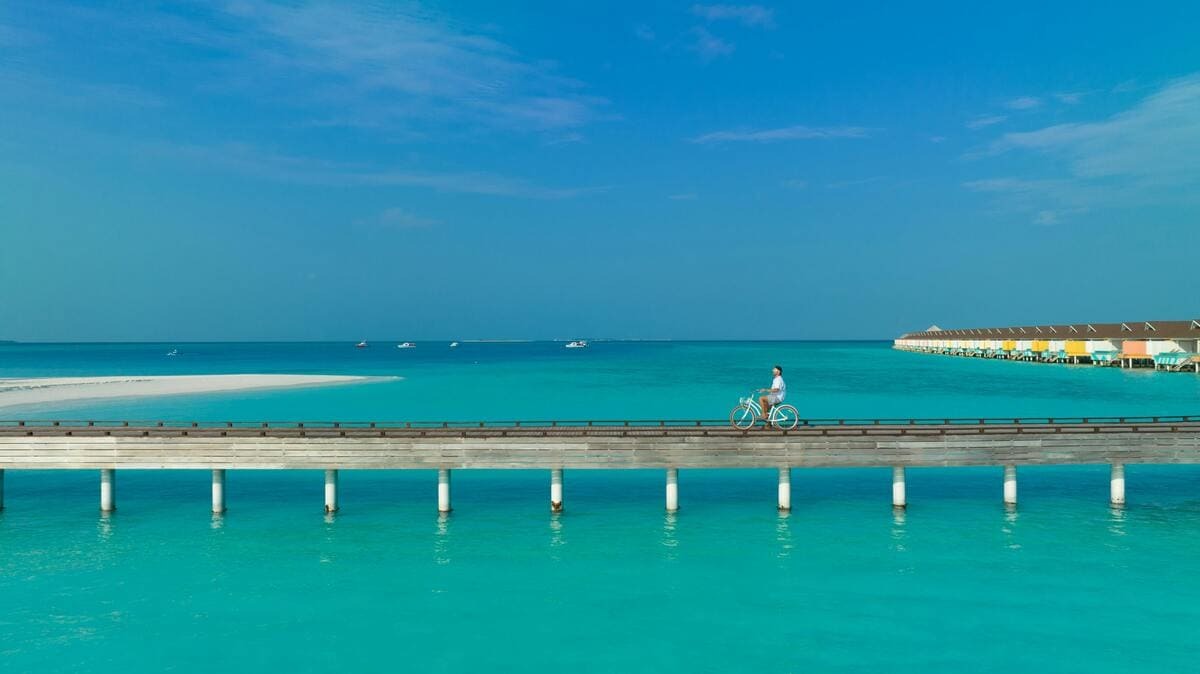  Welche sorgen 2026 für Aufsehen?