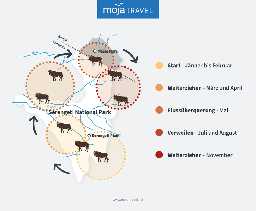 Safariziele Afrika BildCanva 