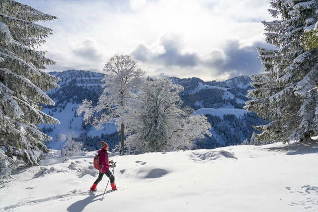 Die besten Strecken für verschneite Landschaften