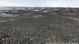 Die Antarktis ist ein Naturparadies und Lebensraum vieler Tierarten. Australien verfolgt nun Pläne, dort einen Flughafen zu bauen Die Antarktis ist ein Naturparadies und Lebensraum vieler Tierarten. Australien verfolgt nun Pläne, dort einen Flughafen zu bauen