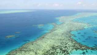 Die Umweltschäden am Great Barrier Reef nehmen zu. Das Unesco-Welterbekomitee fordert Australien eindringlich auf, Maßnahmen gegen den Klimawandel zu treffen Die Umweltschäden am Great Barrier Reef nehmen zu. Das Unesco-Welterbekomitee fordert Australien eindringlich auf, Maßnahmen gegen den Klimawandel zu treffen