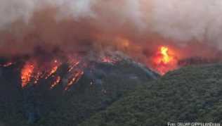 Ein Screenshot aus einem Video zeigt ein großes Feuer, das in East Gippsland brennt Ein Screenshot aus einem Video zeigt ein großes Feuer, das in East Gippsland brennt