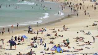 Der Bondi Beach in Sydney ist vorübergehend gesperrt. Ein angeschwemmter Walkadaver könnte Haie anlocken Der Bondi Beach in Sydney ist vorübergehend gesperrt. Ein angeschwemmter Walkadaver könnte Haie anlocken