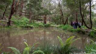 Im Herbst 2021 soll der Grampians Peaks Trail fertig sein Im Herbst 2021 soll der Grampians Peaks Trail fertig sein
