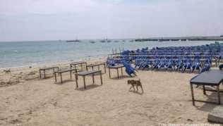 2019 kamen mehr als sechs Millionen Gäste nach Bali. Nun bleiben die Strände wegen der Reisesperre leer 2019 kamen mehr als sechs Millionen Gäste nach Bali. Nun bleiben die Strände wegen der Reisesperre leer