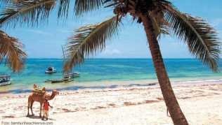 Entspannen unter Palmen: der Bamburi Beach nördlich von Mombasa Entspannen unter Palmen: der Bamburi Beach nördlich von Mombasa