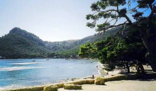 Dicht bewaldet der Platja de Formentor.##Foto: flickr.com Jaume Mensos Dicht bewaldet der Platja de Formentor.