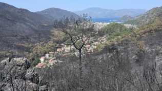 In der bei Touristen beliebten Region Marmaris hat das Feuer ganze Landstriche verbrannt zurückgelassen In der bei Touristen beliebten Region Marmaris hat das Feuer ganze Landstriche verbrannt zurückgelassen