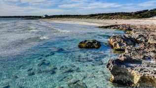 Die Abwesenheit von Touristen ist an den Stränden Mallorcas spürbar. «Das Wasser ist derzeit spektakulär transparent», sagt der Biologe Txema Brotons Die Abwesenheit von Touristen ist an den Stränden Mallorcas spürbar. «Das Wasser ist derzeit spektakulär transparent», sagt der Biologe Txema Brotons