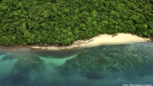 Tückisches Paradies: Das Meer birgt auch für erfahrene Schwimmer große Gefahren Tückisches Paradies: Das Meer birgt auch für erfahrene Schwimmer große Gefahren