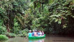 Mitten im Dschungel: Der Nationalpark Tortuguero lässt sich gut auf geführten Bootstouren erkunden Mitten im Dschungel: Der Nationalpark Tortuguero lässt sich gut auf geführten Bootstouren erkunden