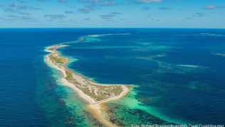 Grünstreifen: Die Houtman Abrolhos Islands haben jetzt den Status eines Nationalparks - hier leben unter anderem die vom Aussterben bedrohten Australischen Seelöwen Grünstreifen: Die Houtman Abrolhos Islands haben jetzt den Status eines Nationalparks - hier leben unter anderem die vom Aussterben bedrohten Australischen Seelöwen