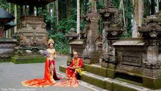 Fotoshooting im Affenwald von Sangeh auf Bali - der Forst mit seinen Tieren lockt viele Besucher der Insel Fotoshooting im Affenwald von Sangeh auf Bali - der Forst mit seinen Tieren lockt viele Besucher der Insel