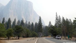 Der Naturpark Yosemite mit dem imposanten Granitfelsen El Capitan ist nach einem Waldbrand nun wieder für Besucher geöffnet Der Naturpark Yosemite mit dem imposanten Granitfelsen El Capitan ist nach einem Waldbrand nun wieder für Besucher geöffnet