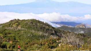 Unterwegs auf der Insel La Gomera: Die Kanaren werden von Reiseveranstaltern weiter angeboten - trotz Beschränkungen des öffentlichen Lebens in Deutschland Unterwegs auf der Insel La Gomera: Die Kanaren werden von Reiseveranstaltern weiter angeboten - trotz Beschränkungen des öffentlichen Lebens in Deutschland