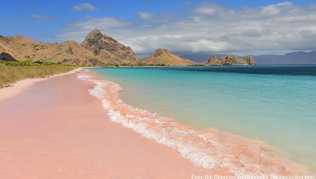 Der Pantai Merah (Pink Beach) auf der Insel Komodo fasziniert - Korallenrückstände färben dort den Sand Der Pantai Merah (Pink Beach) auf der Insel Komodo fasziniert - Korallenrückstände färben dort den Sand