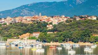 Neugierige Belugas umlagern ein Schlauchboot mit Touristen Porto-Vecchio thront über dem nach der Stadt benannten Golf im Südosten der Insel