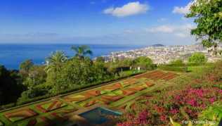 Vorne kunstvoll angeordnete Pflanzen, hinten der Atlantik und die Stadt Funchal: Naheliegend, dass das Parterre des Jardim Botânico da Madeira ein besonders beliebtes Fotomotiv ist Vorne kunstvoll angeordnete Pflanzen, hinten der Atlantik und die Stadt Funchal: Naheliegend, dass das Parterre des Jardim Botânico da Madeira ein besonders beliebtes Fotomotiv ist