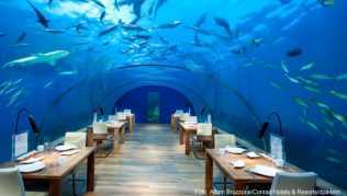 Speisen unter den Haien: Das »Conrad Rangali« mit seinem »Ithaa«-Restaurant war Vorreiter in Sachen Unterwasser-Restaurant Speisen unter den Haien: Das »Conrad Rangali« mit seinem »Ithaa«-Restaurant war Vorreiter in Sachen Unterwasser-Restaurant