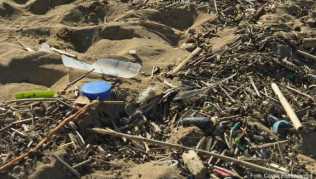 An einem Strand nahe Palma liegt ein Abfallhaufen An einem Strand nahe Palma liegt ein Abfallhaufen
