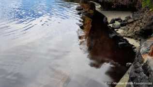 Öl, das aus dem Frachter Wakashio, der bereits am 25. Juli auf Grund lief, schwimmt auf der Wasseroberfläche vor der Ostküste von Mauritius im Indischen Ozean Öl, das aus dem Frachter Wakashio, der bereits am 25. Juli auf Grund lief, schwimmt auf der Wasseroberfläche vor der Ostküste von Mauritius im Indischen Ozean