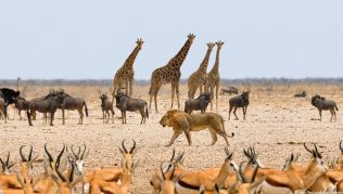 Durch das neue Angebot soll die klassische Touristenroute entlastet werden Durch das neue Angebot soll die klassische Touristenroute entlastet werden
