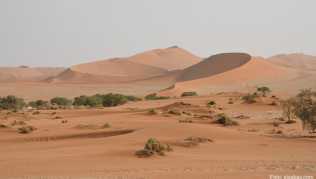 Ab in die Wildnis: In der Provinz Nordkap nahe Namibia sollen Abenteurer in Südafrika künftig auf ihre Kosten kommen - zum Beispiel bei Dünentouren##Foto: dein-suedafrika.de Ab in die Wildnis: In der Provinz Nordkap nahe Namibia sollen Abenteurer in Südafrika künftig auf ihre Kosten kommen - zum Beispiel bei Dünentouren
