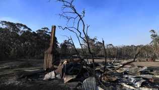 Die seit Tagen wütenden Buschbrände in Australien bedrohen nun auch den Großraum Sydney Die seit Tagen wütenden Buschbrände in Australien bedrohen nun auch den Großraum Sydney