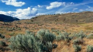 Kanadas heißester Fleck: Höchsttemperaturen von über 40 Grad sind in der Osoyoos-Wüste keine Seltenheit##Foto: Destination British Columbia Kanadas heißester Fleck: Höchsttemperaturen von über 40 Grad sind in der Osoyoos-Wüste keine Seltenheit