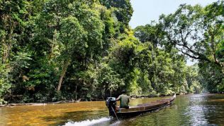 Im Norden Malaysias kann man die Natur genießen##Foto: rp Im Norden Malaysias kann man die Natur genießen