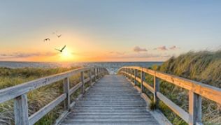 Der Weg über die Dünenlandschaft führt zu Strand und Meer in der Brandungszone##Foto: © Marco2811 - fotalia.com (#86499028) Der Weg über die Dünenlandschaft führt zu Strand und Meer in der Brandungszone