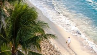 Hawaii ist in: Reiseveranstalter sehen die Inselgruppe als Trenddestination - paradiesische Strände wie dieser auf Oahu sind ein Grund dafür - auch für Familien##Foto: HTA/Tor Johnson Hawaii ist in: Reiseveranstalter sehen die Inselgruppe als Trenddestination - paradiesische Strände wie dieser auf Oahu sind ein Grund dafür - auch für Familien