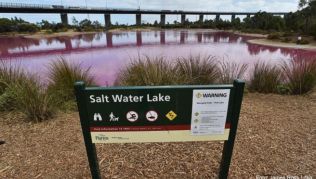 Eine Beschilderung für den Salt Water Lake steht am Ufer des pink gefärbten Sees im Westgate Park Eine Beschilderung für den Salt Water Lake steht am Ufer des pink gefärbten Sees im Westgate Park
