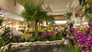 Wellness-Wartehallen: Der Changi Flughafen in Singapur belegte bei den »Skytrax Best Airport Awards 2010« den Spitzenplatz.##Foto: Singapore Tourism Board/dpa/tmn Wellness-Wartehallen: Der Changi Flughafen in Singapur belegte bei den »Skytrax Best Airport Awards 2010« den Spitzenplatz.##Foto: Singapore Tourism Board/dpa/tmn