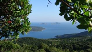 Alonissos ist umgeben von kleinen, unbewohnten Inseln. Im 2200 Quadratkilometer großen Meeresnationalpark sehen Urlauber mit Glück Delfine und Mönchsrobben.