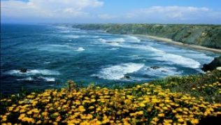 Jede Menge Schaumkronen: Portugals Küste bietet gute Wellen zum Surfen.##Foto: Tourismo de Portugal/dpa Jede Menge Schaumkronen: Portugals Küste bietet gute Wellen zum Surfen.