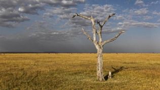 Auf Safari in Kenia: Obwohl es in dem Land laut dem Kenya Tourism Board noch keinen Fall von Ebola gegeben hat, gehen die Buchungen aus Angst vor der Krankheit zurück##Foto: Dai Kurokawa Auf Safari in Kenia: Obwohl es in dem Land laut dem Kenya Tourism Board noch keinen Fall von Ebola gegeben hat, gehen die Buchungen aus Angst vor der Krankheit zurück