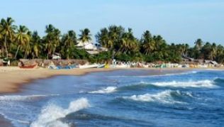 Surfer-Idyll: Die Halmondbucht Arugam Bay bietet feinen Sand, großartige Wellen und Baumhäuser in den Palmen.