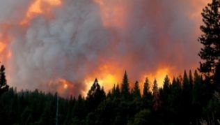Während in Kalifornien Waldbrände wüten, versinken Teile Floridas in Wassermassen##Foto: Noah Berger Während in Kalifornien Waldbrände wüten, versinken Teile Floridas in Wassermassen