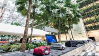 Im Singapore Changi Airport befinden sich besonders viele Bäume und Pflanzen Im Singapore Changi Airport befinden sich besonders viele Bäume und Pflanzen