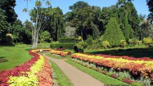 Der Peradeniya Botanical Garden wurde bereits 1824 von den Briten angelegt und gehörte zuvor zum Lustschloss des von ihnen abgesetzten Kandy-Königs Der Peradeniya Botanical Garden wurde bereits 1824 von den Briten angelegt und gehörte zuvor zum Lustschloss des von ihnen abgesetzten Kandy-Königs