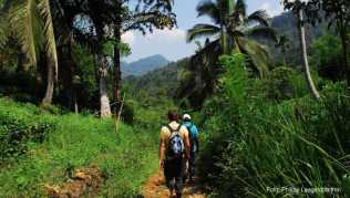 Regenwald-Tour in Sri Lanka
Sri Lanka bietet mehr als traumhafte Strände - im Hinterland lassen sich zum Beispiel auch Touren durch den Sinharaja-Regenwald unternehmen Regenwald-Tour in Sri Lanka
Sri Lanka bietet mehr als traumhafte Strände - im Hinterland lassen sich zum Beispiel auch Touren durch den Sinharaja-Regenwald unternehmen
