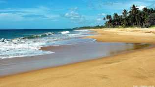 Eine Woche nach den Anschlägen ist die Sicherheitslage in Sri Lanka immer noch angespannt. Das Auswärtige Amt rät von Reisen dorthin ab Eine Woche nach den Anschlägen ist die Sicherheitslage in Sri Lanka immer noch angespannt. Das Auswärtige Amt rät von Reisen dorthin ab
