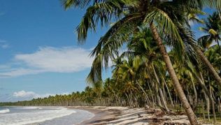 Salvador da Bahia in Brasilien mit Dünen, Strände und Palmen ohne Ende##Foto: Flickr.com, Miradas.com.br, Danielle Pereira Salvador da Bahia in Brasilien mit Dünen, Strände und Palmen ohne Ende
