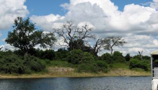 Am River Chobe im gleichnamigen Nationalpark in Botswana##Foto: Wikimedia commons, Someone35 Am River Chobe im gleichnamigen Nationalpark in Botswana
