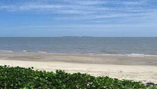 Der schönste Strand von Französisch Guayana bei Kourou vor der Ile du Salut, Frankreich, Südamerika##Foto: Wikimedia Commons, Arria Belli Der schönste Strand von Französisch Guayana bei Kourou vor der Ile du Salut, Frankreich, Südamerika