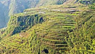 Grünes Land: Terrassenfelder in der Provinz Guizhou, China##Foto: Flickr.com, SQFP Grünes Land: Terrassenfelder in der Provinz Guizhou, China