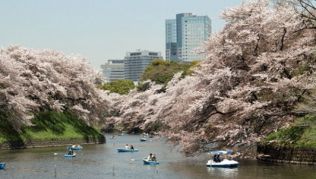Japan-Highlights zwischen Hightech, Megacity und Tradition##Foto: wikimedia.org, Arashiyama Japan-Highlights zwischen Hightech, Megacity und Tradition
