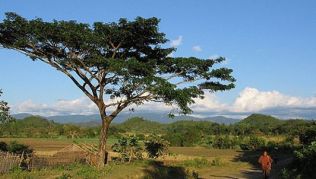 Unterwegs in Rakhine, dem unbekannten Westen von Myanmar##Foto: Flickr.com, Roger Price Unterwegs in Rakhine, dem unbekannten Westen von Myanmar