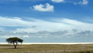 Unendliche Weite der Etosha Pfanne, Namibia##Foto: Flickr.com, Caitlin Regan Unendliche Weite der Etosha Pfanne, Namibia